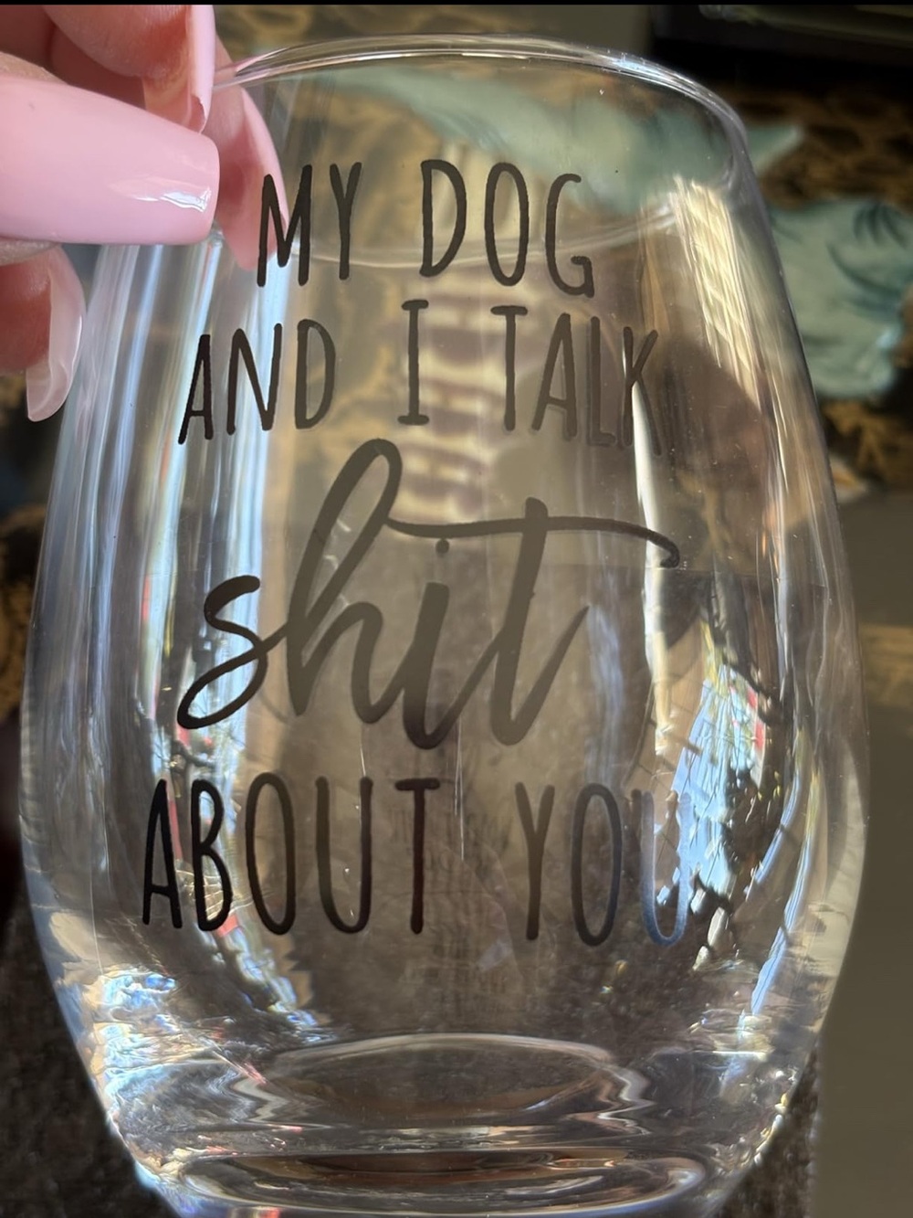 Clear Stemless Wine Glass - 'My Dog and I Talk Sh*t About You'